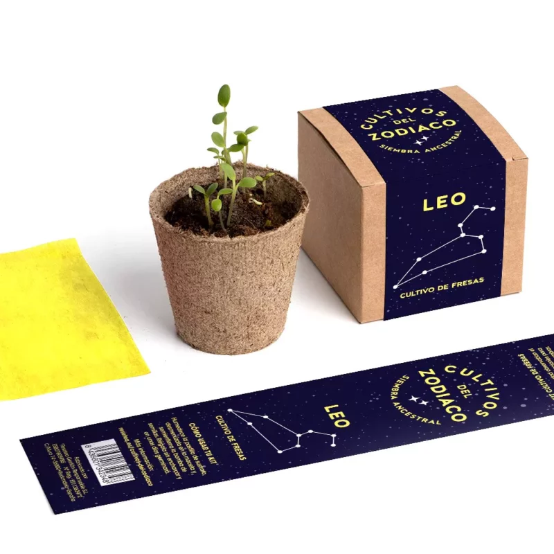 coltura-zodiacale-leone-5
