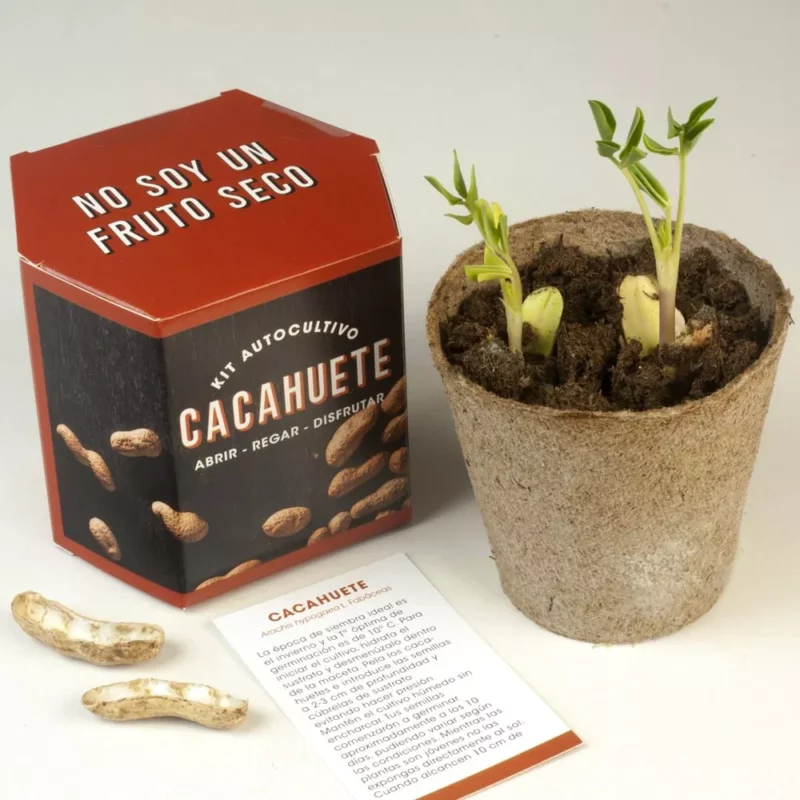 kit-autocoltivazione-arachidi-3