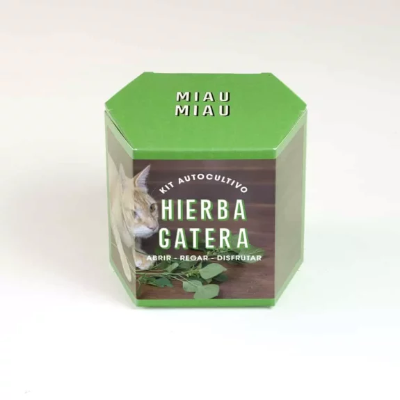 kit-autocoltivazione-erba-gatta