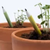 matita-piantabile-fiori-vaso