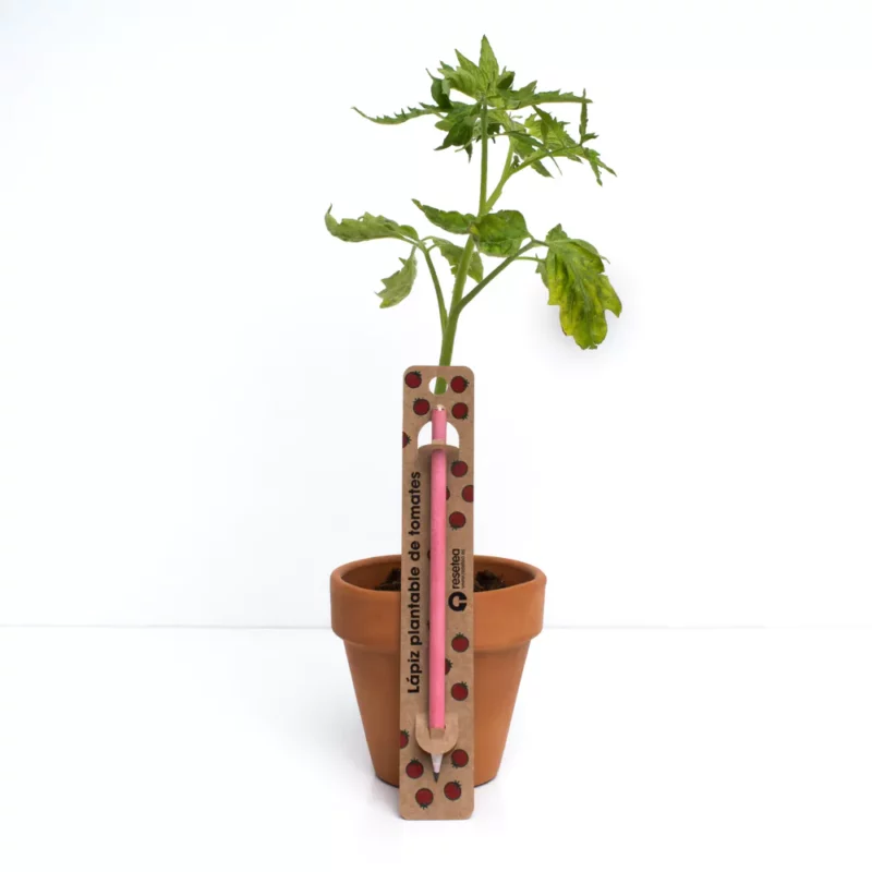 matita-piantabile-pomodoro-foglie