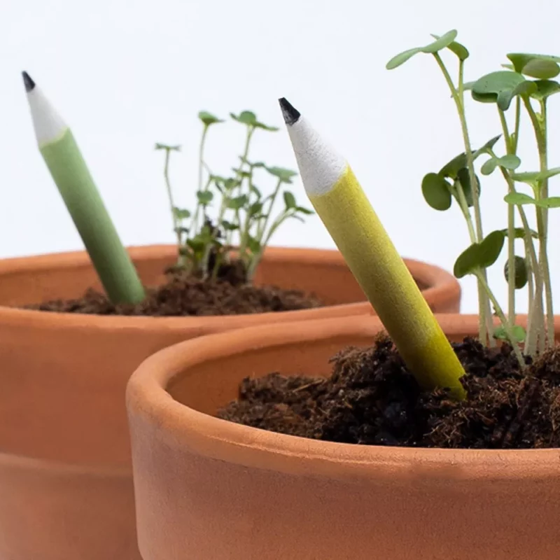 matita-piantabile-rucola-vaso