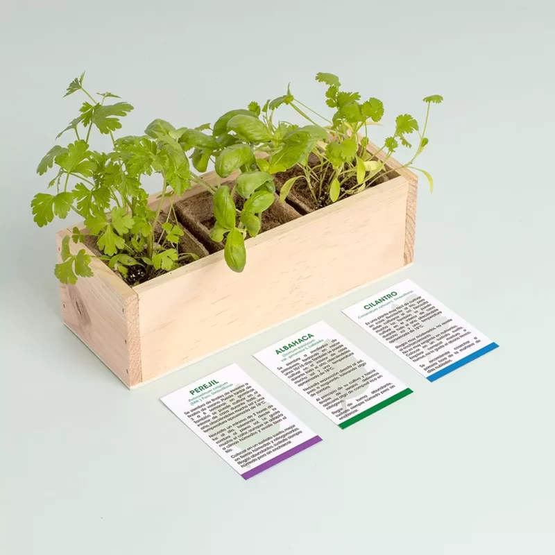 mini-giardino-erbe-aromatiche-3
