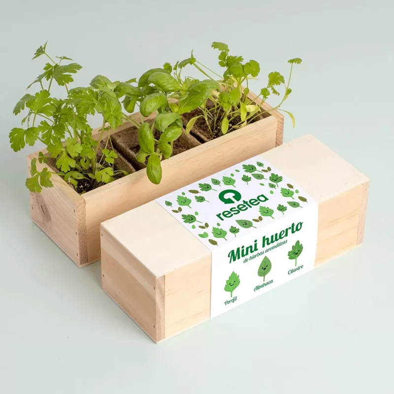 mini-giardino-erbe-aromatiche-4