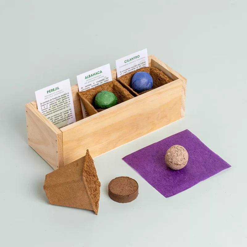 mini-giardino-erbe-aromatiche-2