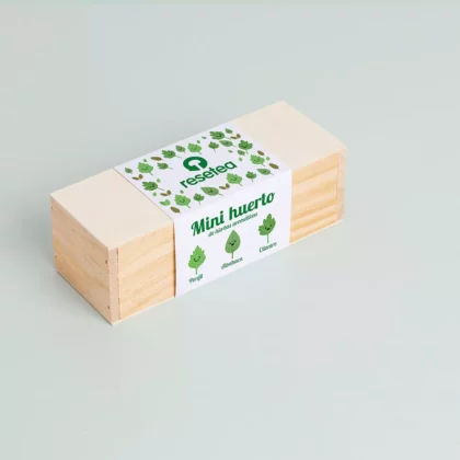 mini-giardino-erbe-aromatiche