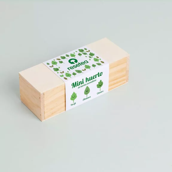 mini-giardino-erbe-aromatiche