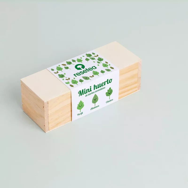 mini-giardino-erbe-aromatiche