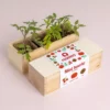 mini-giardino-pomodoro-4
