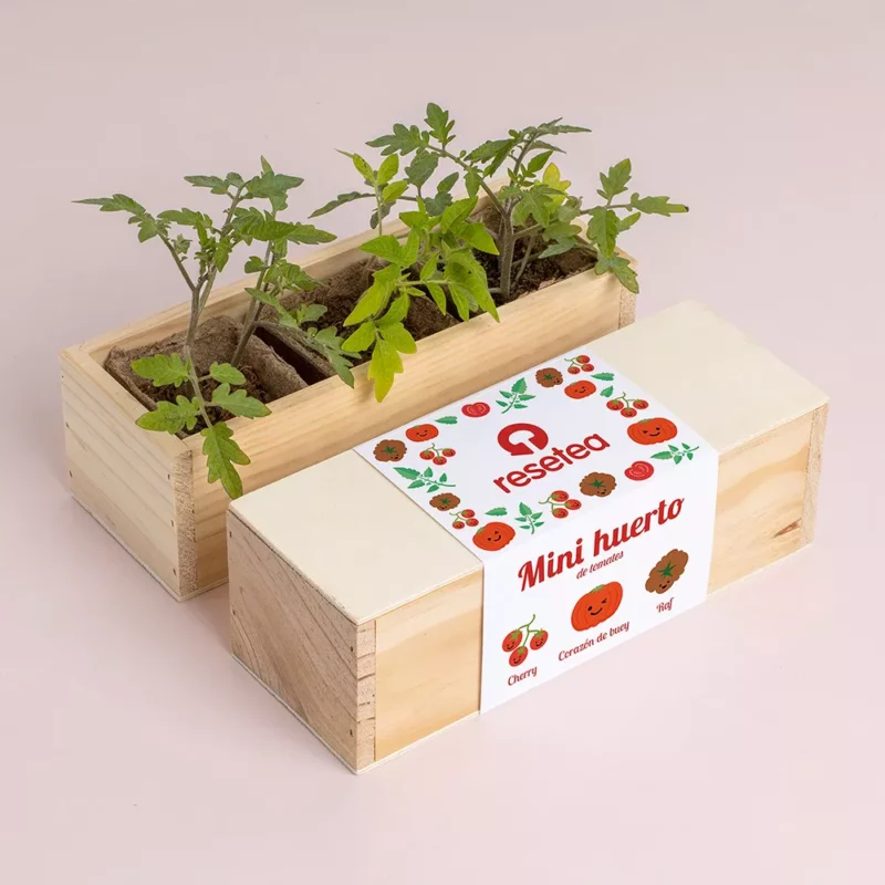 mini-giardino-pomodoro-4