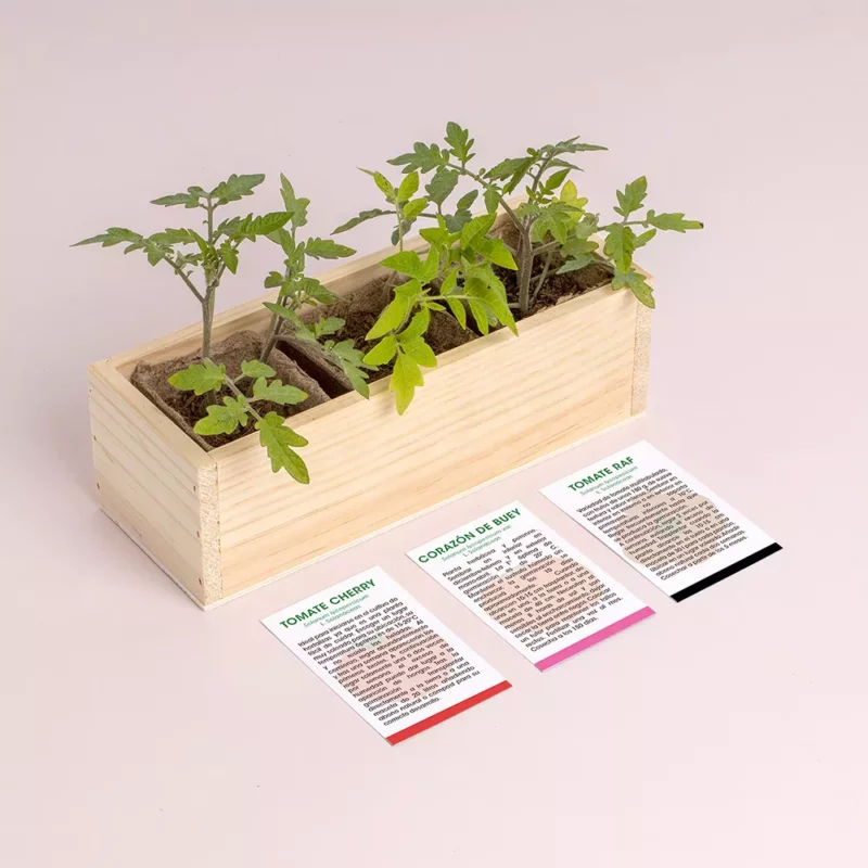 mini-giardino-pomodoro-3