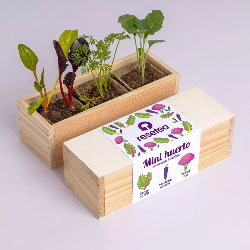 mini-giardino-verdure-strane-4