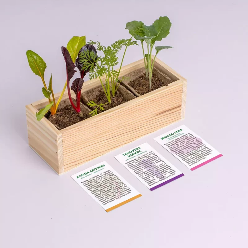 mini-giardino-verdure-strane-3